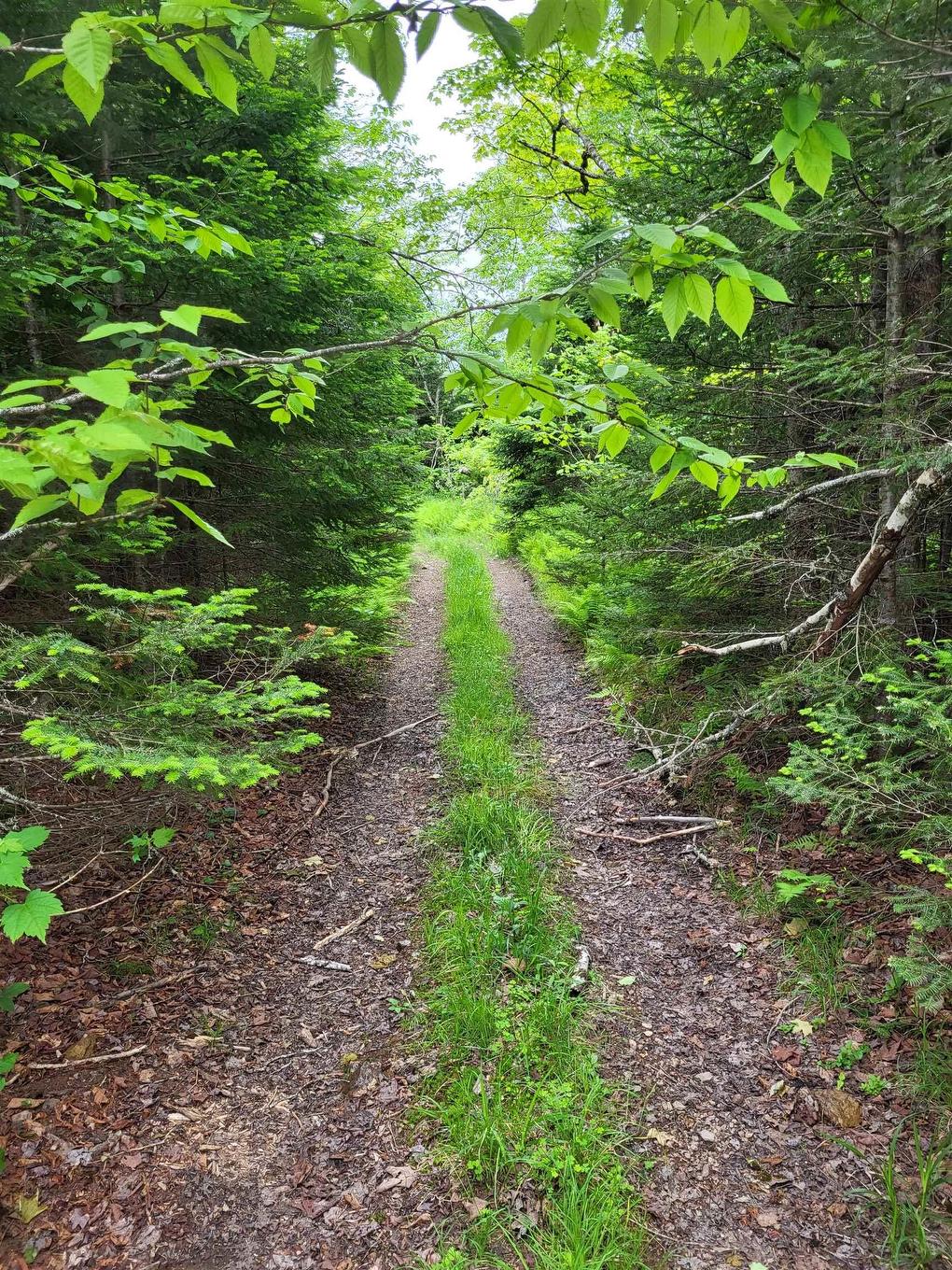 7219 Kemptown, Kemptown, NS