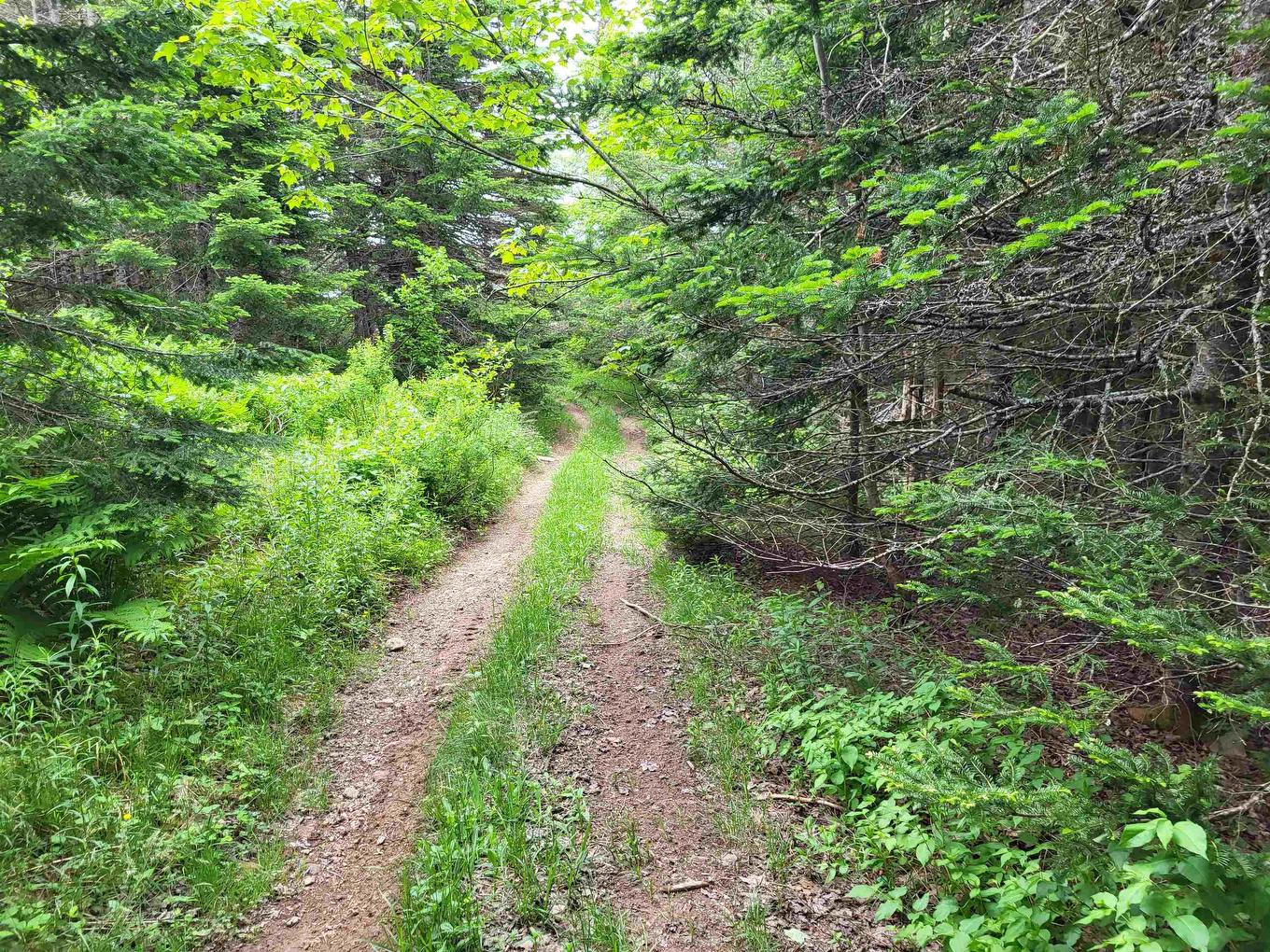 7219 Kemptown, Kemptown, NS