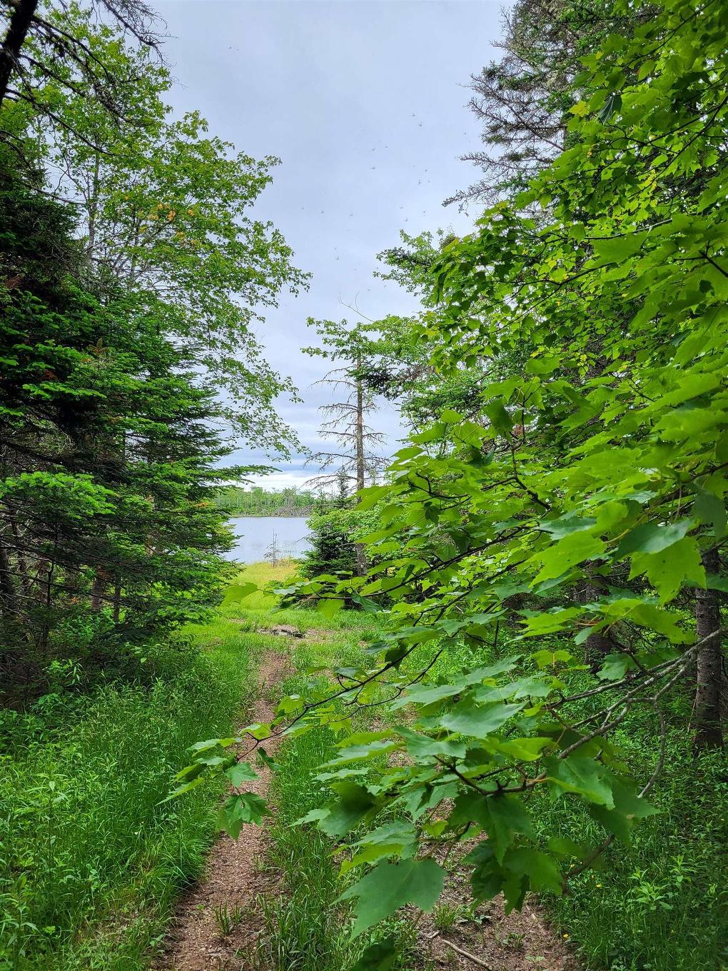 7219 Kemptown, Kemptown, NS