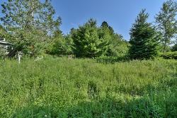 Land/Lot -