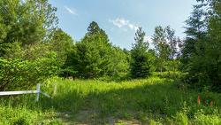 Land/Lot -
