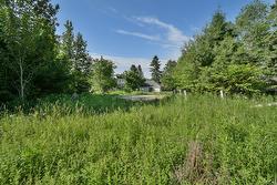 Land/Lot -