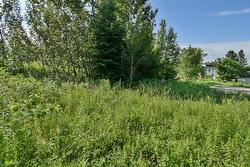 Land/Lot -