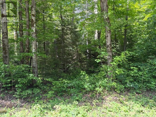 0 Forest Lake Road, Joly, ON