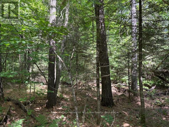 0 Forest Lake Road, Joly, ON