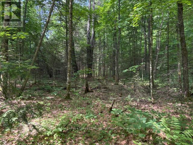 0 Forest Lake Road, Joly, ON