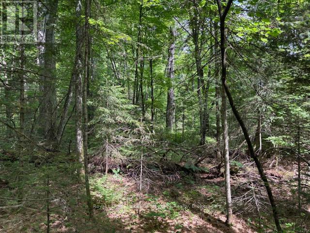 0 Forest Lake Road, Joly, ON