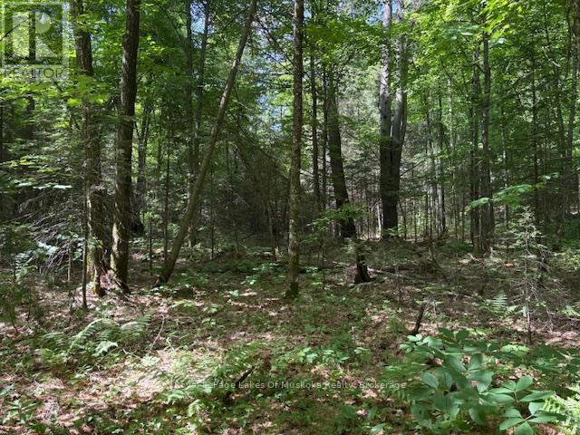 0 Forest Lake Road, Joly, ON