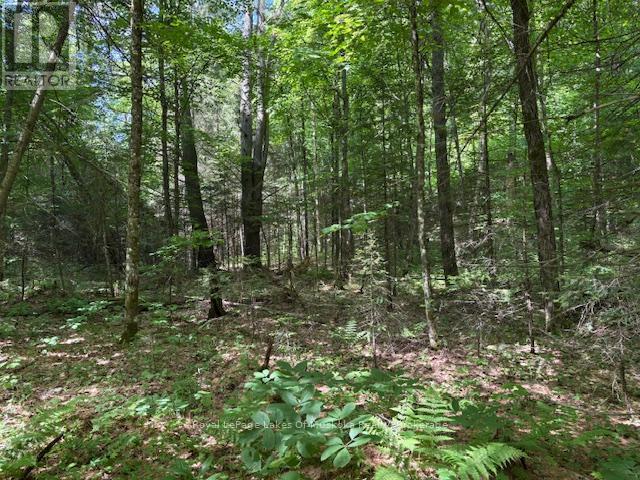 0 Forest Lake Road, Joly, ON