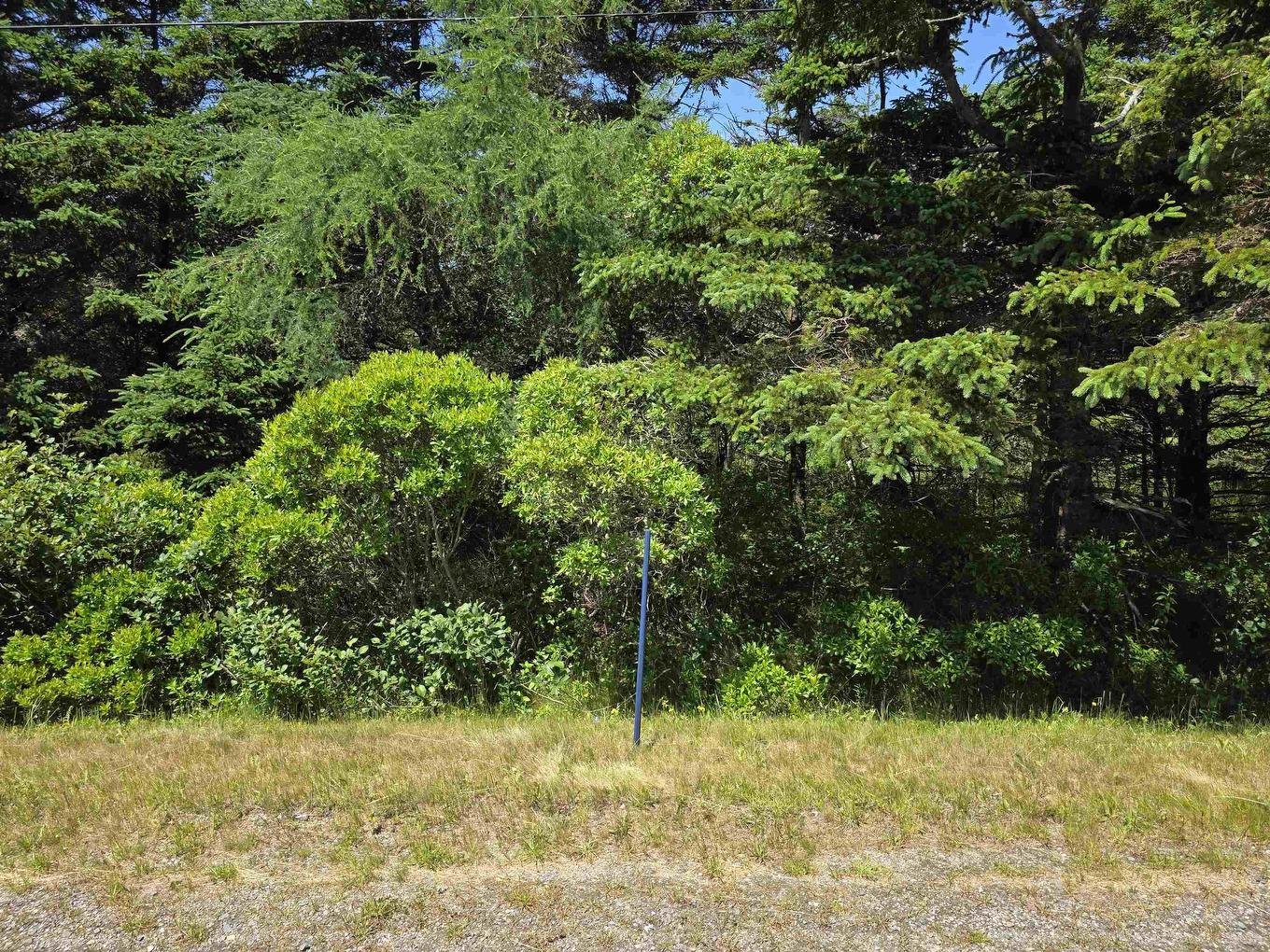 Lot Highway 3, Charlesville, NS