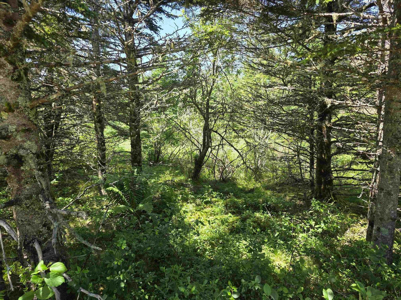 Lot Highway 3, Charlesville, NS