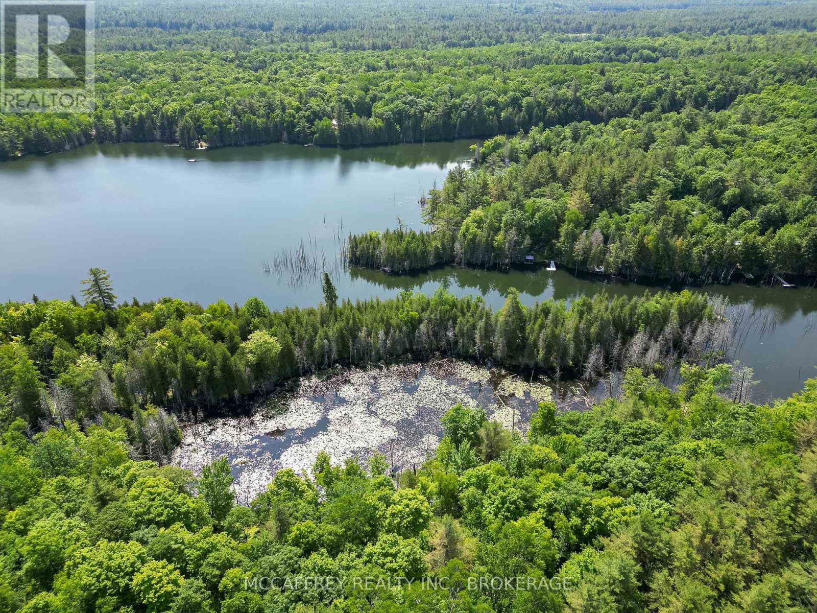 Pt Lt 4 Con 7 Kaladar County Rd 41 Road, Addington Highlands (Addington Highlands), ON