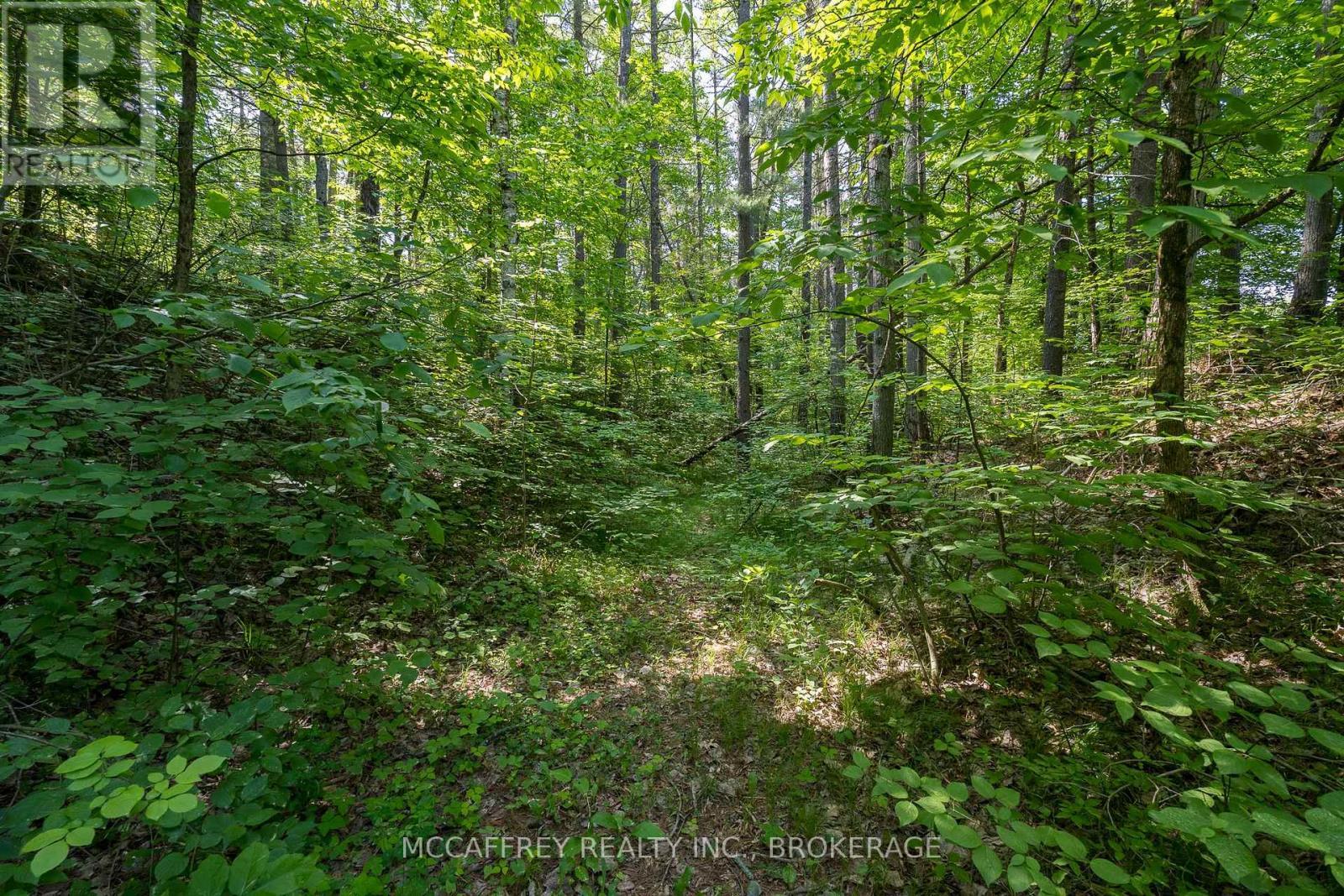Pt Lt 4 Con 7 Kaladar County Rd 41 Road, Addington Highlands (Addington Highlands), ON