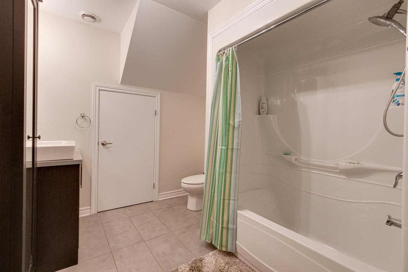 Salle de bains - 306-7700 Rue De Lavaltrie, Montréal (Mercier/Hochelaga-Maisonneuve), QC - Indoor Photo Showing Bathroom