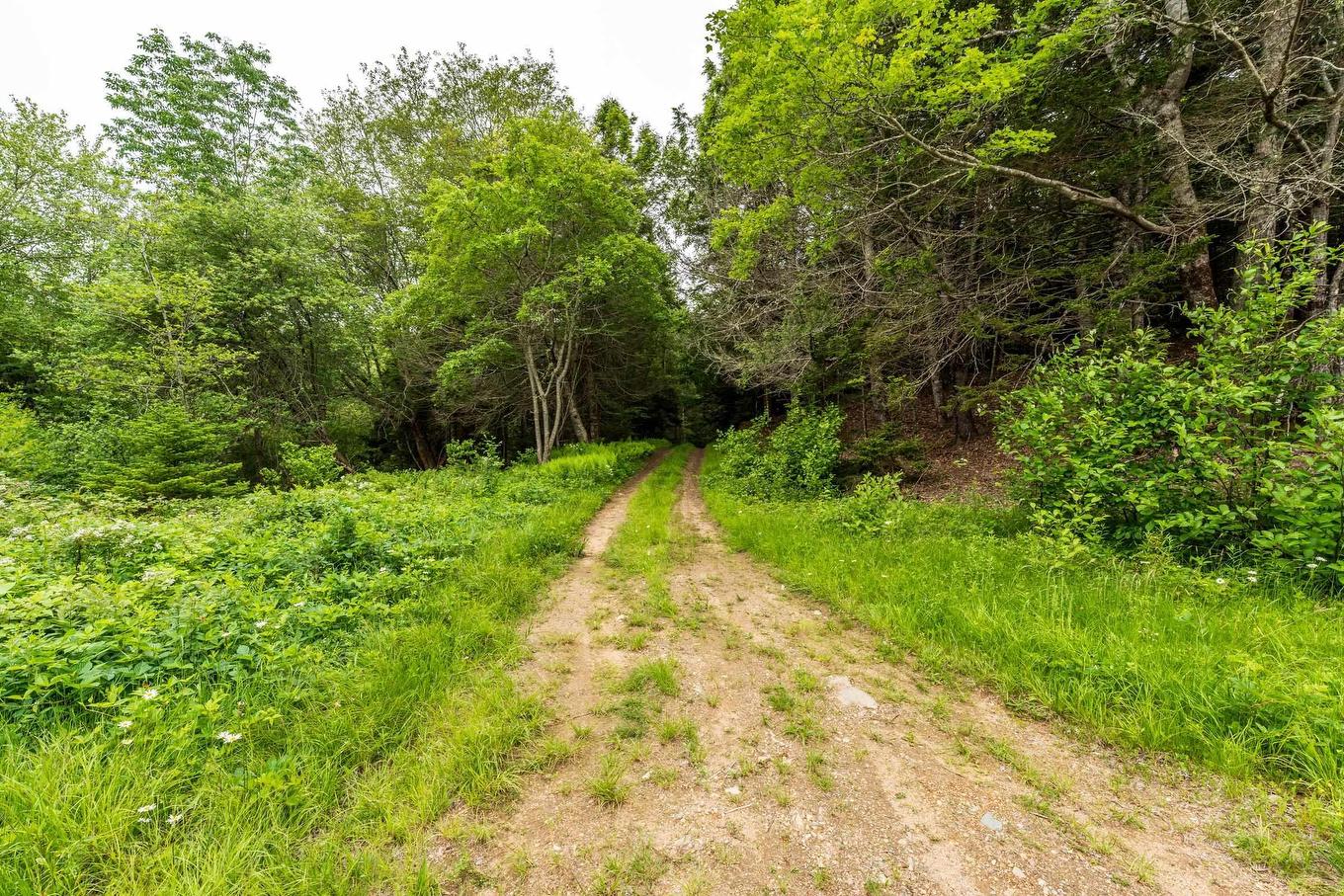 Lots Isadore Thibeau Road, Concession, NS