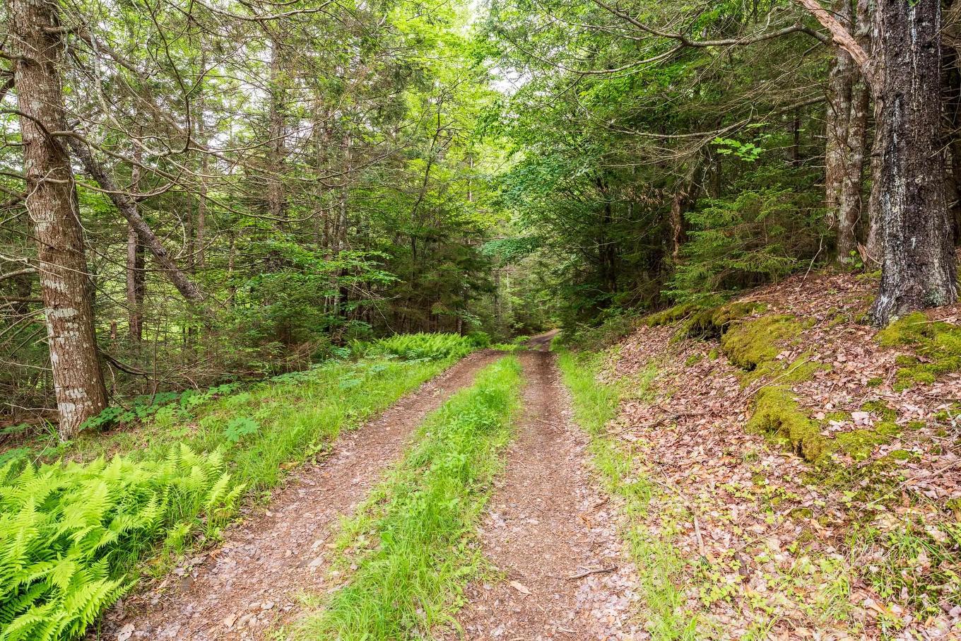 Lots Isadore Thibeau Road, Concession, NS