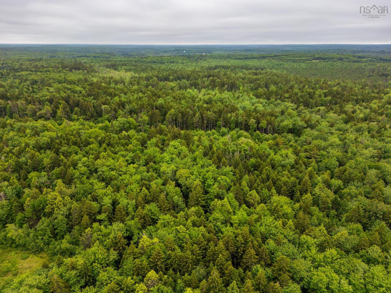 Lots Isadore Thibeau Road, Concession, NS