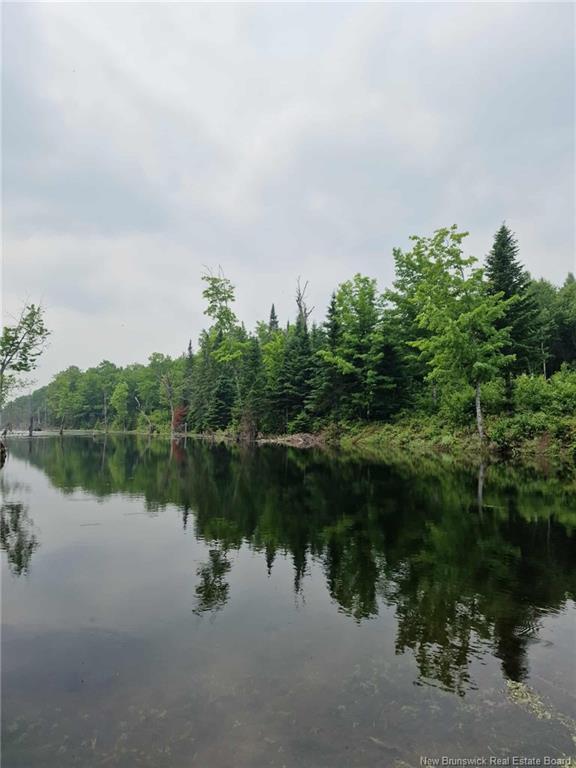50.3 Acres Centenaire St, Lorne, NB