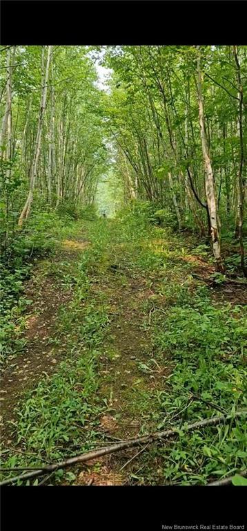 50.3 Acres Centenaire St, Lorne, NB