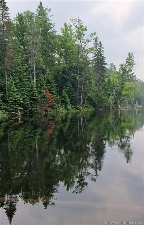 50.3 Acres Centenaire St, Lorne, NB