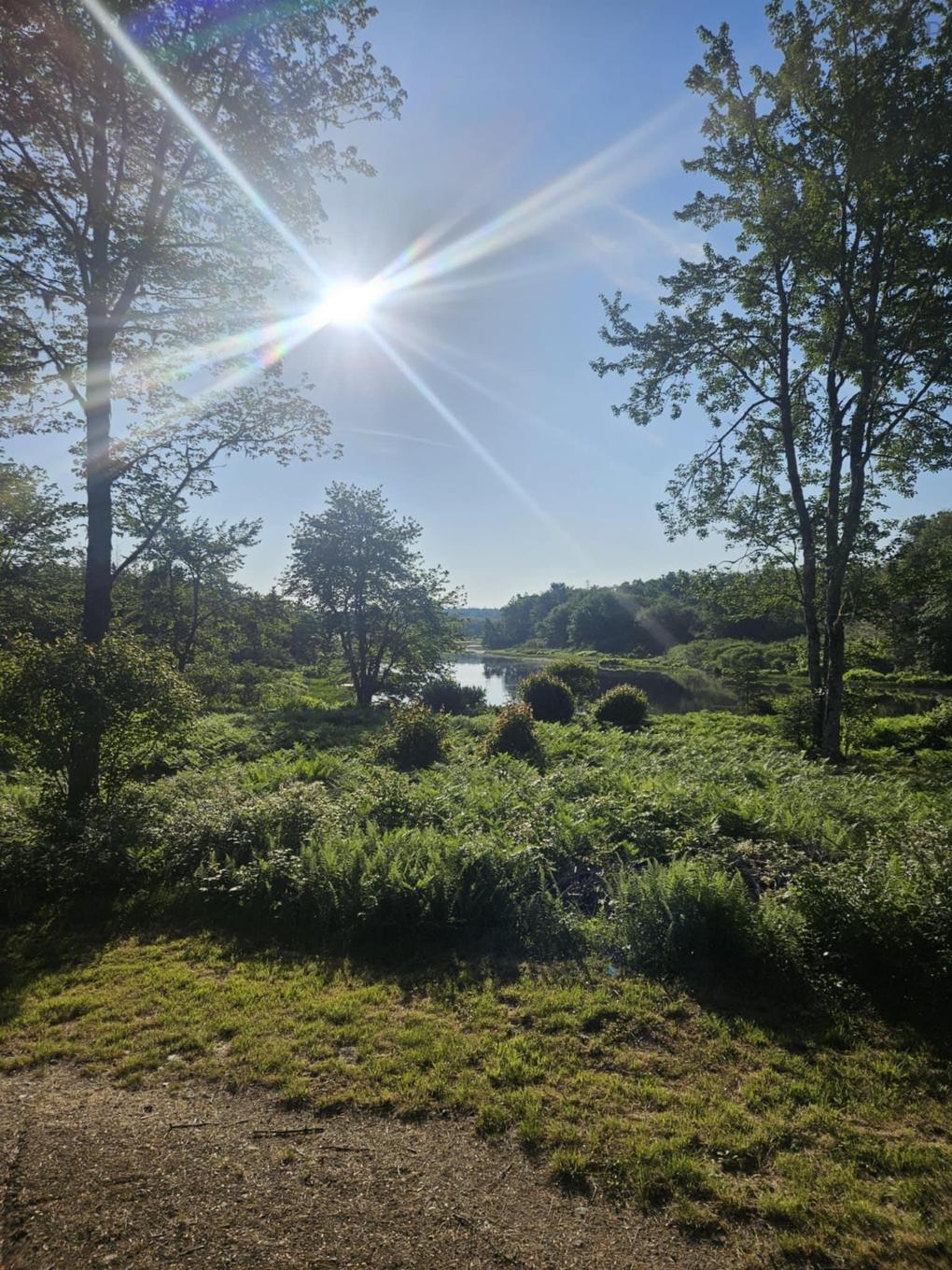 54 Scott'S Drive, Summerville, NS