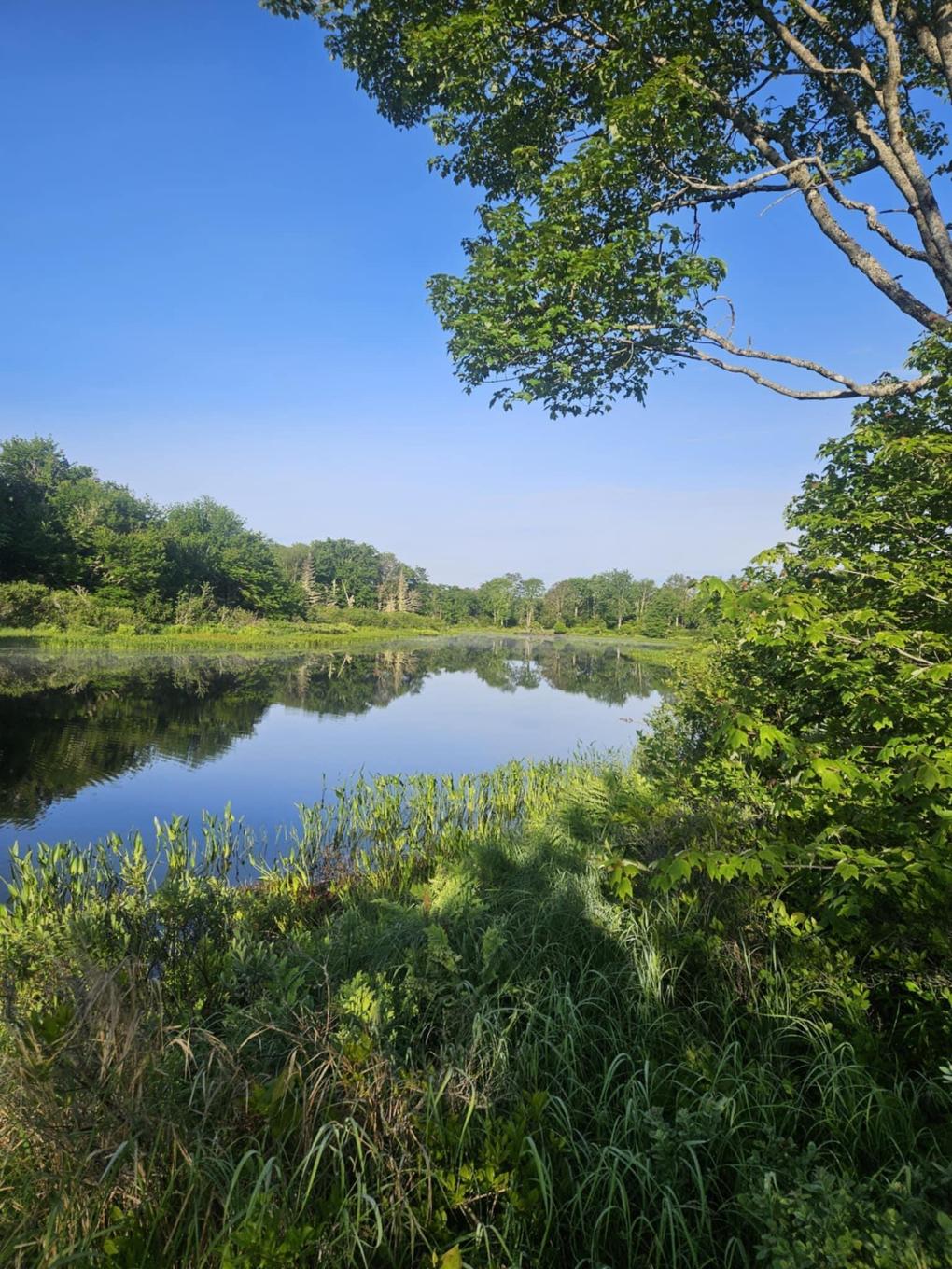 54 Scott'S Drive, Summerville, NS