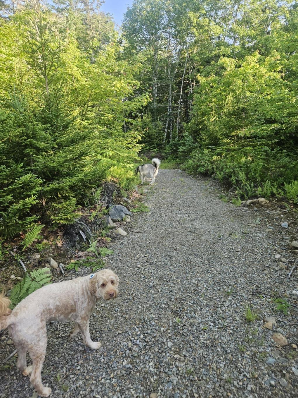 54 Scott'S Drive, Summerville, NS