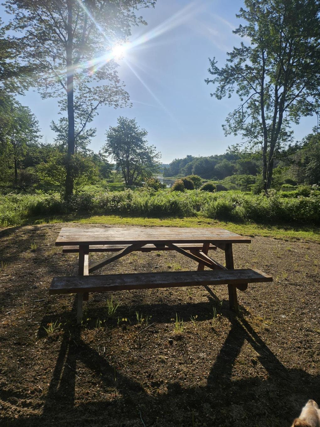 54 Scott'S Drive, Summerville, NS