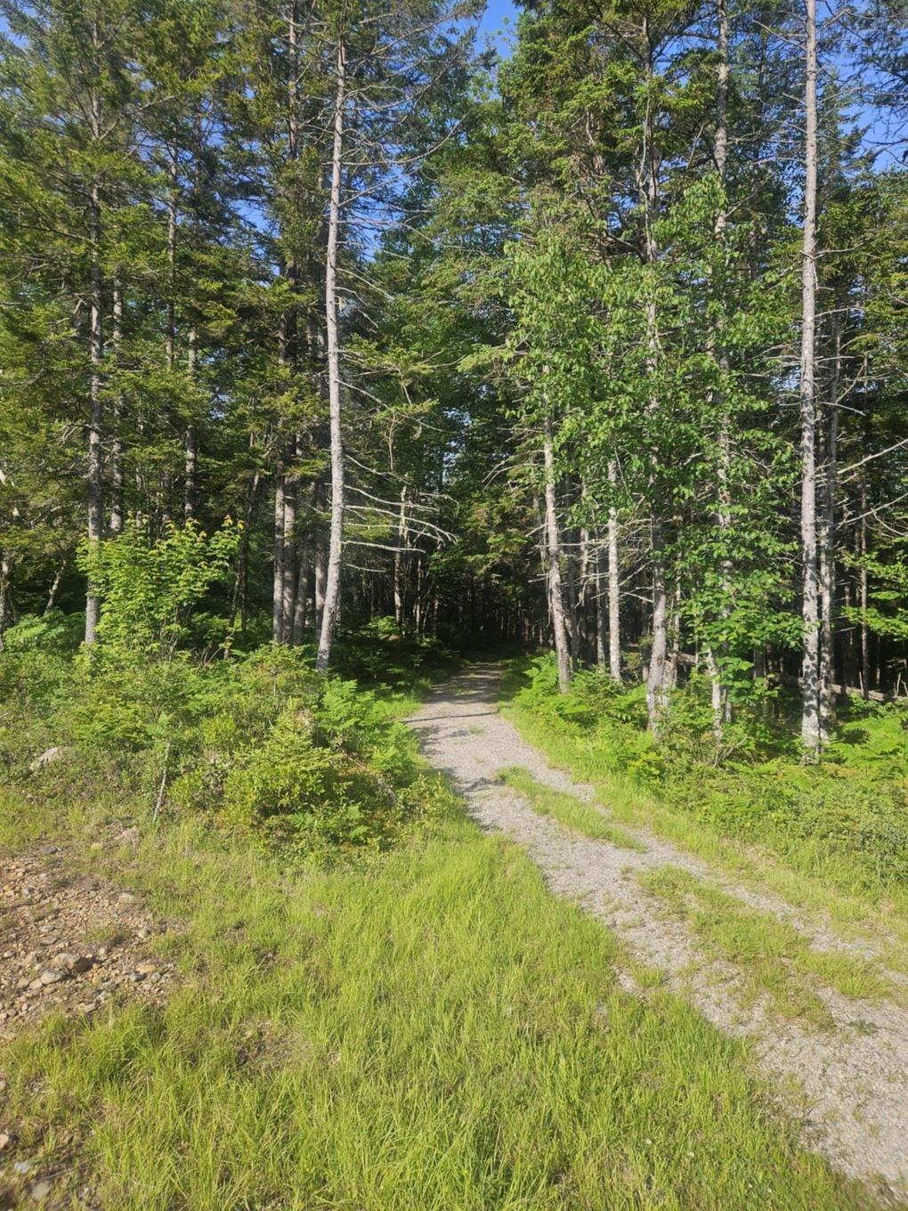 54 Scott'S Drive, Summerville, NS