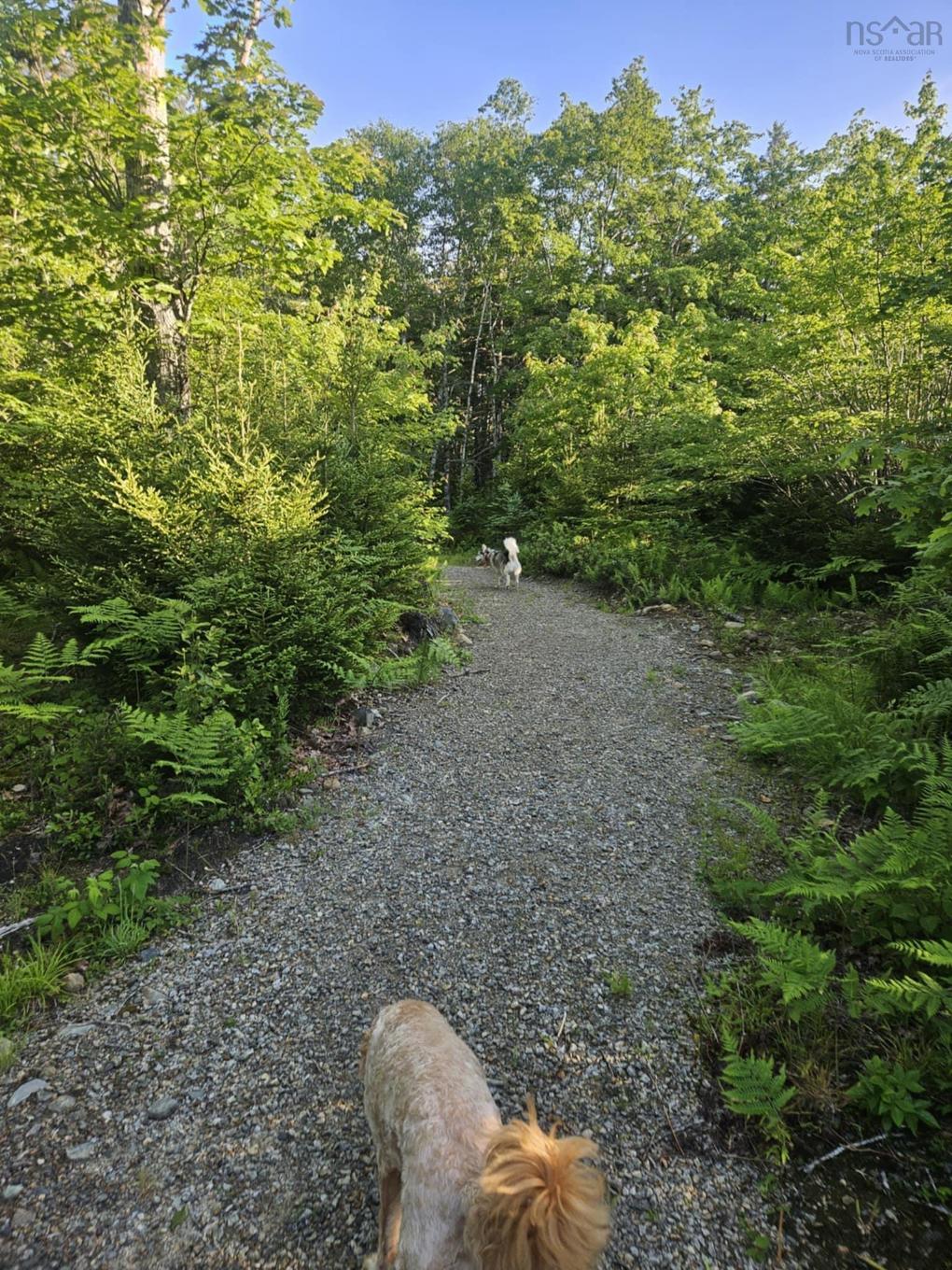 54 Scott'S Drive, Summerville, NS