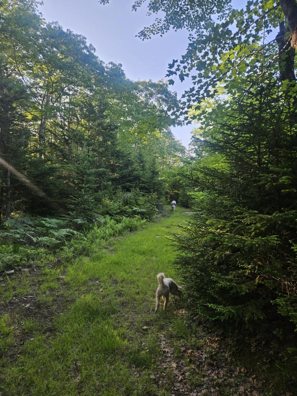 54 Scott'S Drive, Summerville, NS