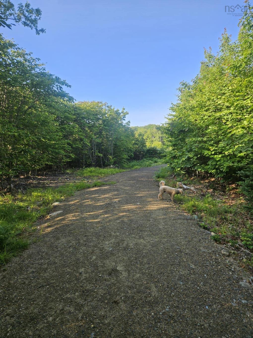 54 Scott'S Drive, Summerville, NS