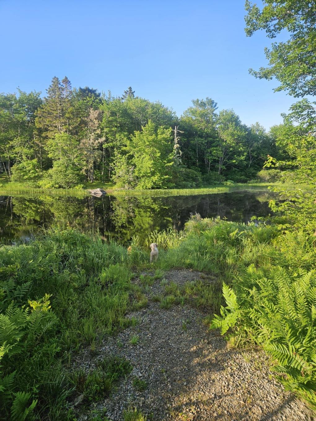 54 Scott'S Drive, Summerville, NS