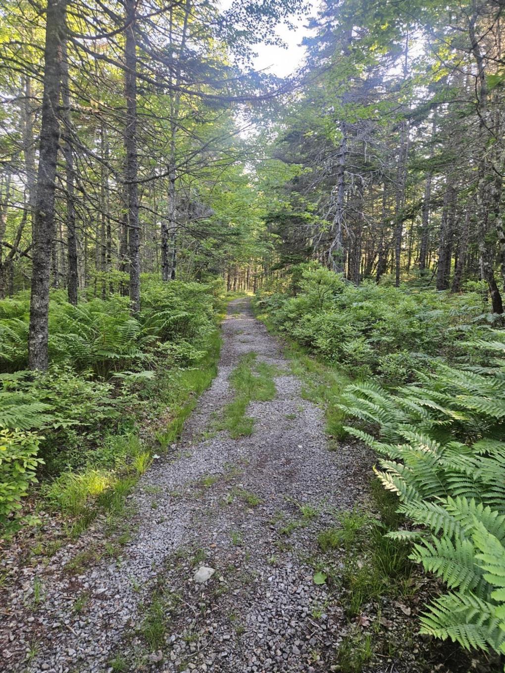 54 Scott'S Drive, Summerville, NS