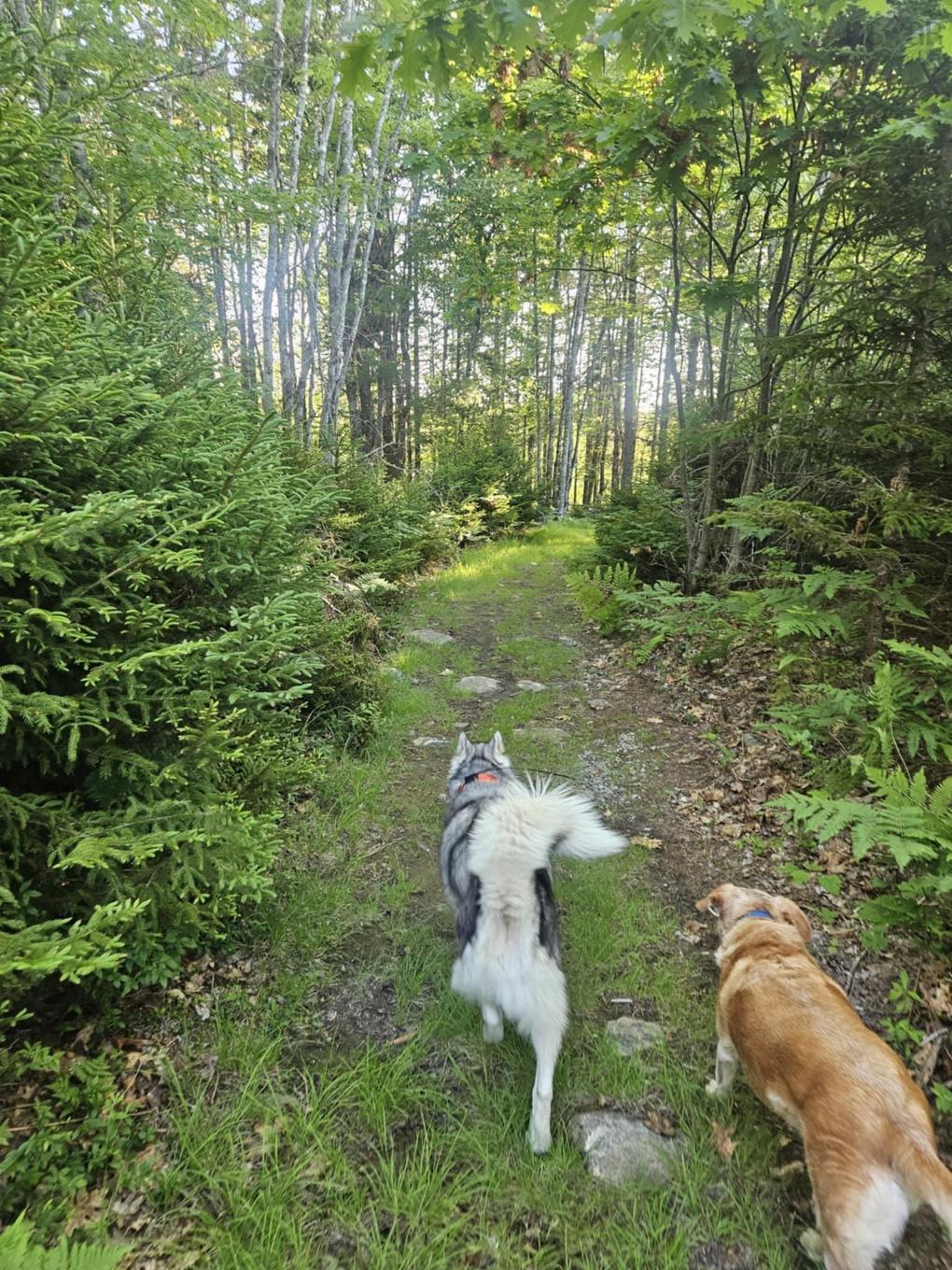 54 Scott'S Drive, Summerville, NS