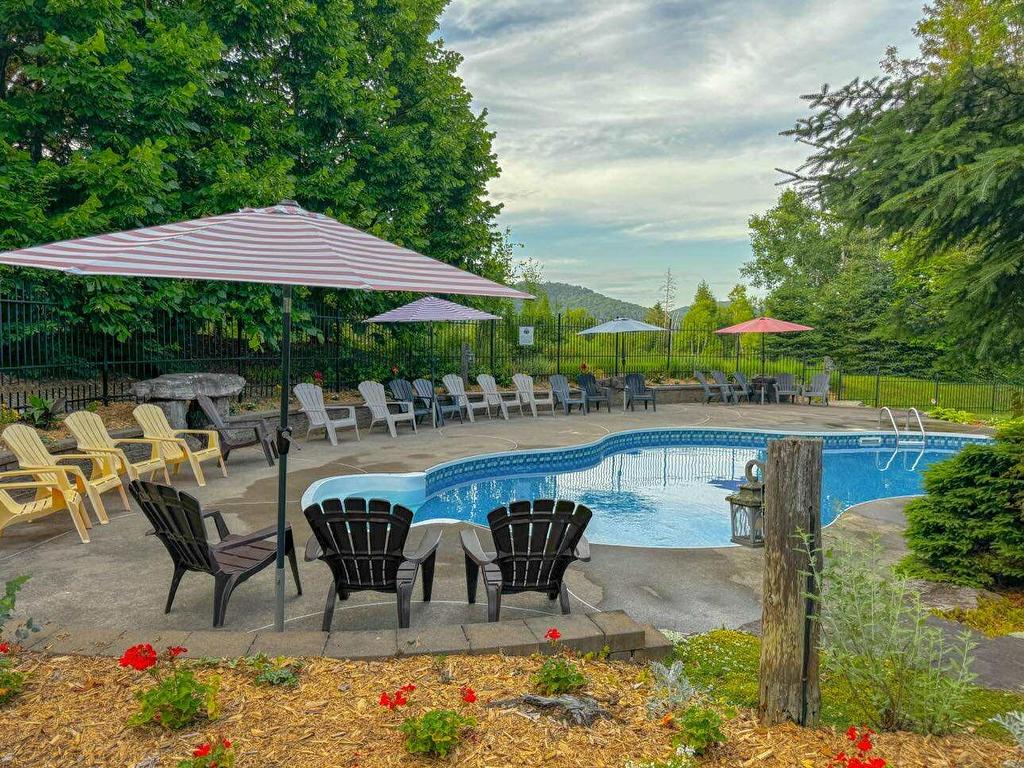 Piscine - 1627 Ch. Du Golf, Mont-Tremblant, QC - Outdoor With In Ground Pool With Backyard