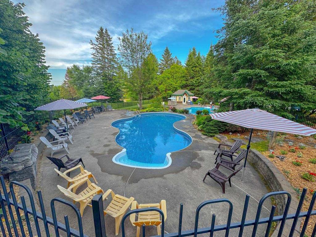 Piscine - 1627 Ch. Du Golf, Mont-Tremblant, QC - Outdoor With In Ground Pool With Backyard