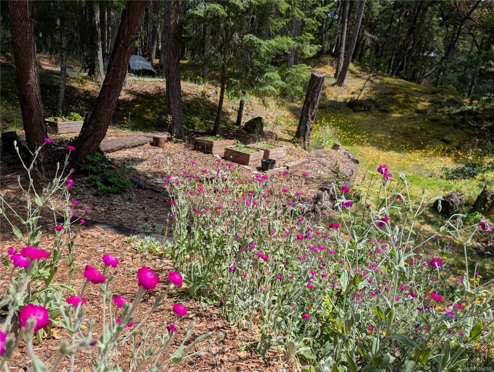 415 Halibut Hill Rd, Mudge Island, BC