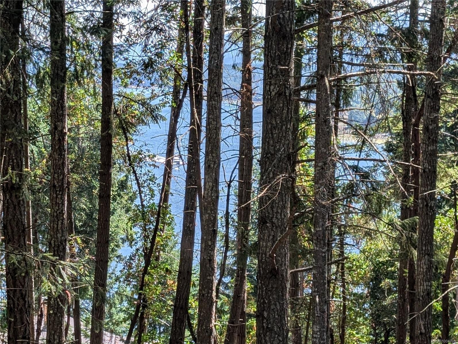 415 Halibut Hill Rd, Mudge Island, BC