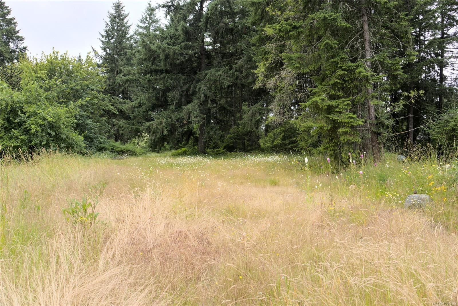 2298 Calais Rd, Duncan, BC