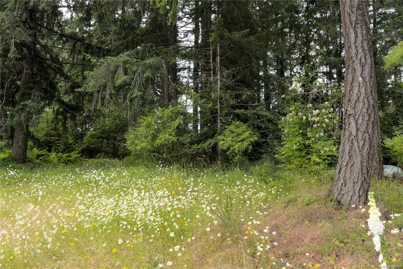 2298 Calais Rd, Duncan, BC