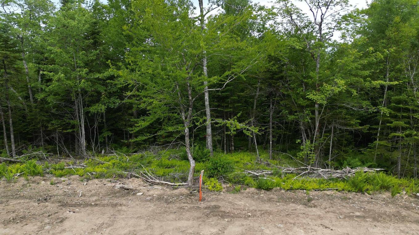 Block 1 Pearl Lane, Hillsvale, NS