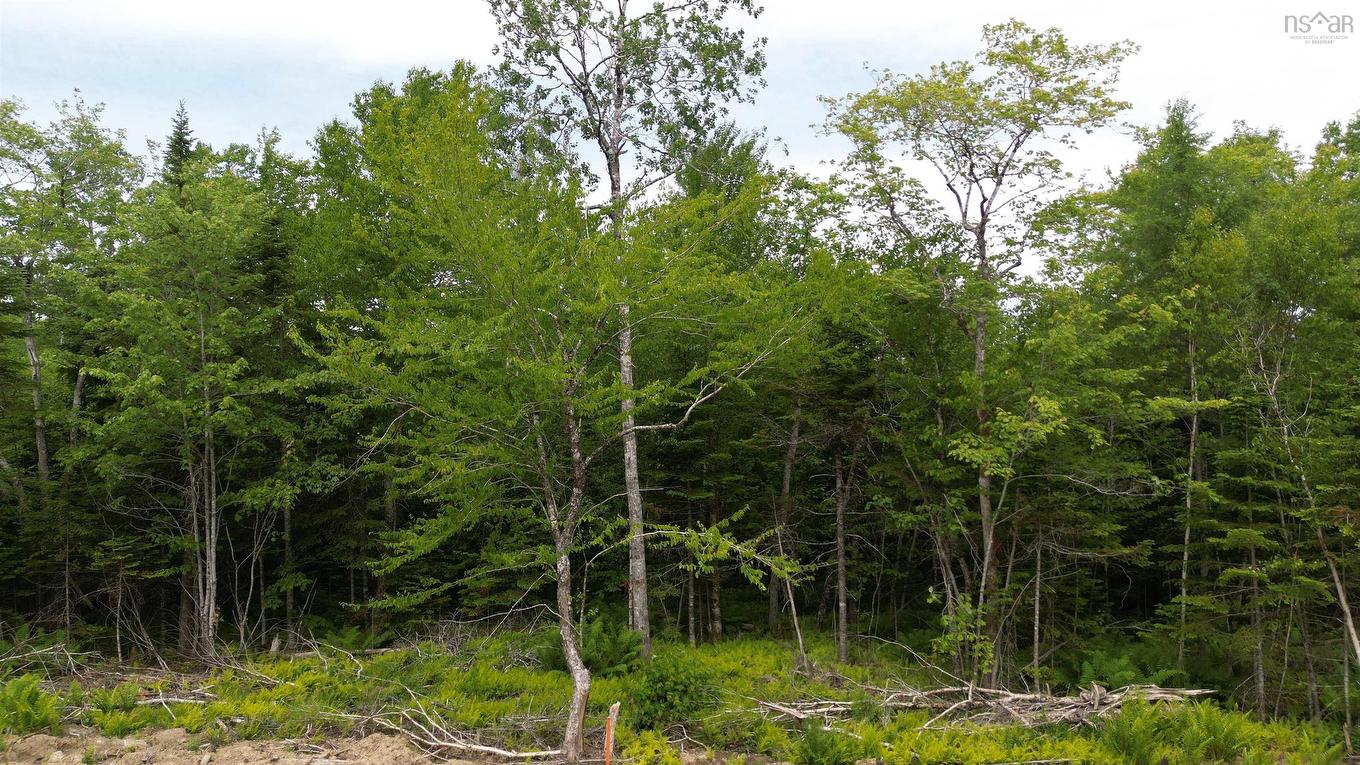 Block 1 Pearl Lane, Hillsvale, NS