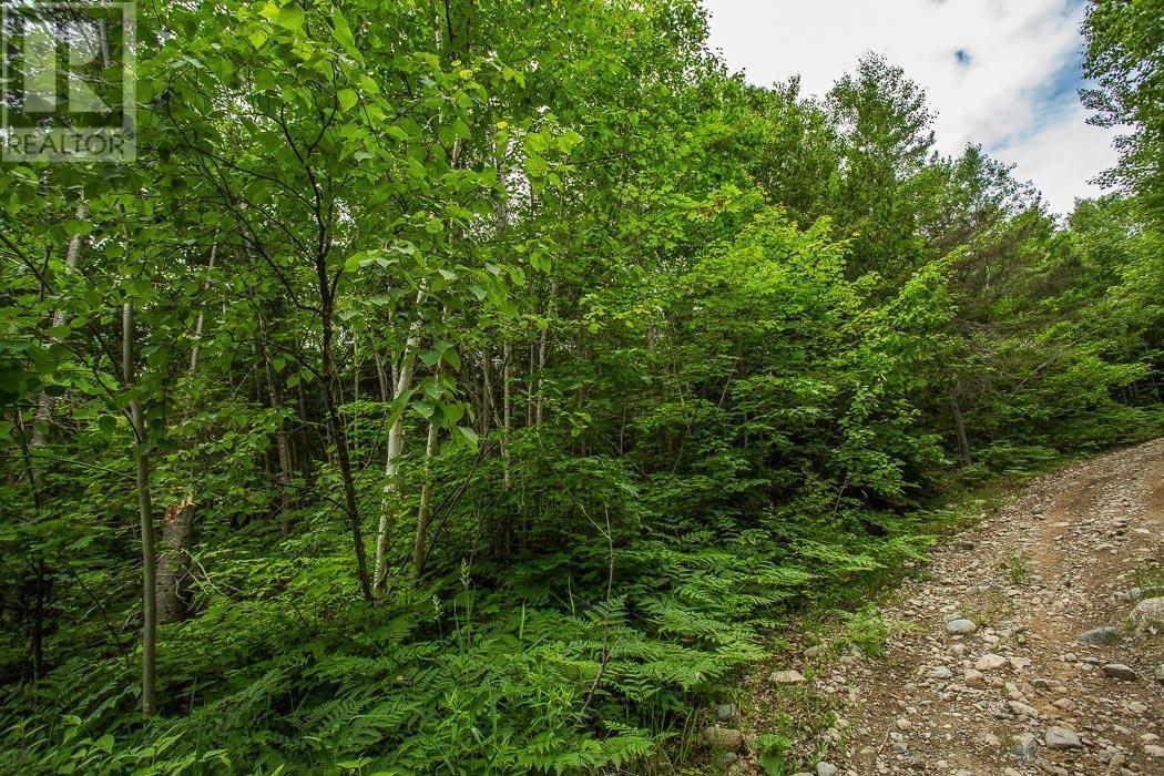 Highway 17 Sheppards Lane/Strawberry Hill Rd, Township Of North Shore, Spragge, ON