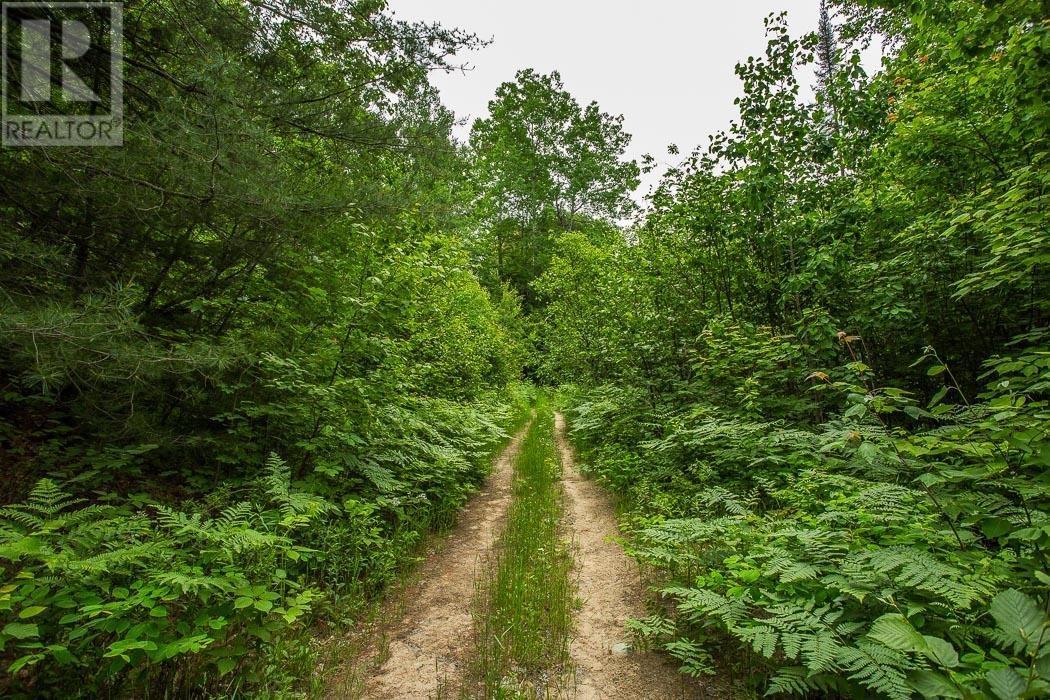 Highway 17 Sheppards Lane/Strawberry Hill Rd, Township Of North Shore, Spragge, ON