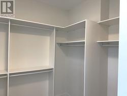 Primary bedroom, extra large walk in closet with organizers -