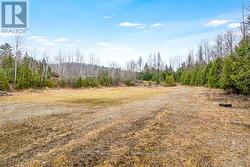 Gently rolling level terrain -