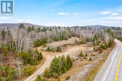 natural spring on the lot -