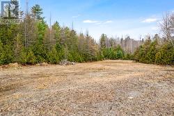 14 mins to Village of Lanark or Calabogie -