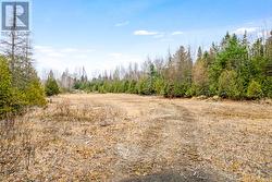 Only 10 mins to public boat launch at White Lake -